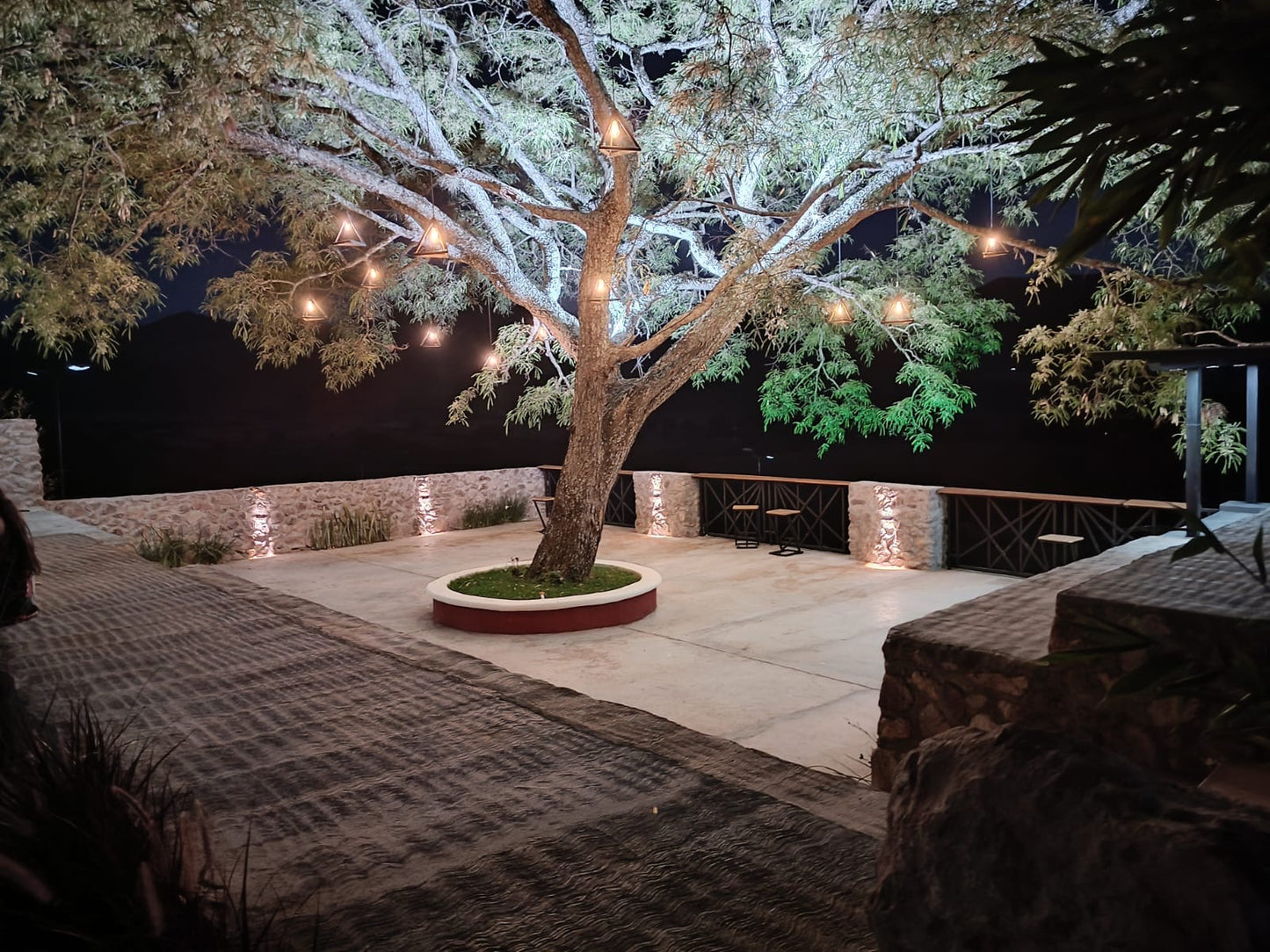 Salón Quinta Pedregal